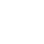 bartenders