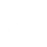 monekey-47