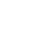 soul-gin